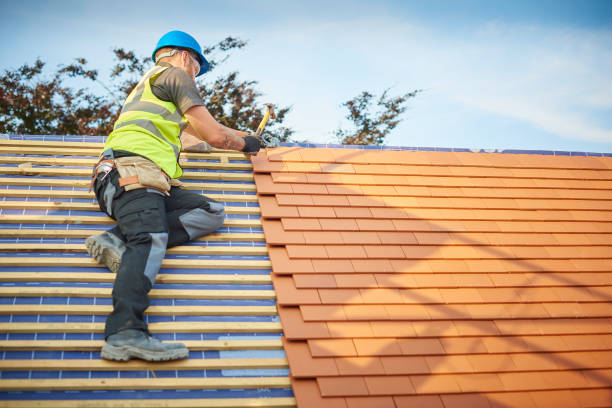 Trusted Eldora, IA Roofing services Experts